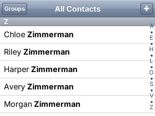 PocketJS virtualized contact list on the Nintendo 3DS lower screen